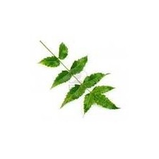 Neem Powder