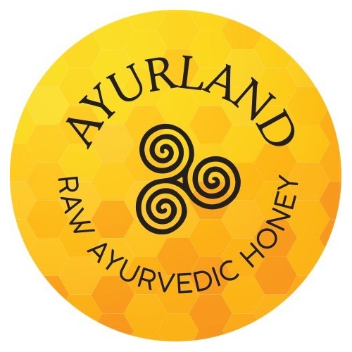 Wild Forest Honey - 500g 