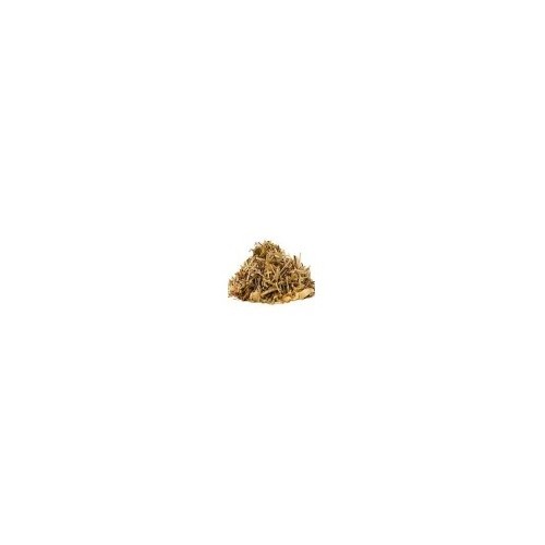 Dashmool Root - 50g