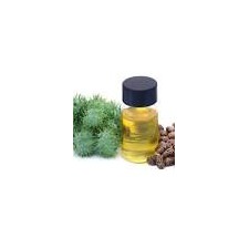 Castor Oil 100ml